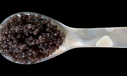 Caviar dans une cuillère