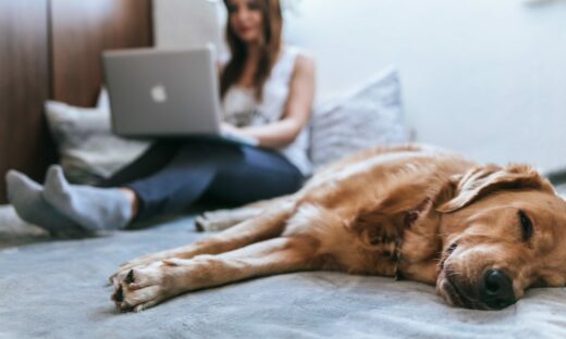 Femme sur un PC avec un chien