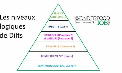 Niveaux logiques de Dilts