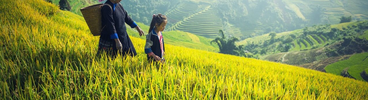 Asia agriculture