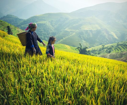 Asia agriculture